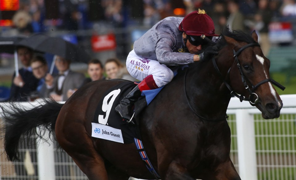 Shalaa is now firmly on track for Champions Day
