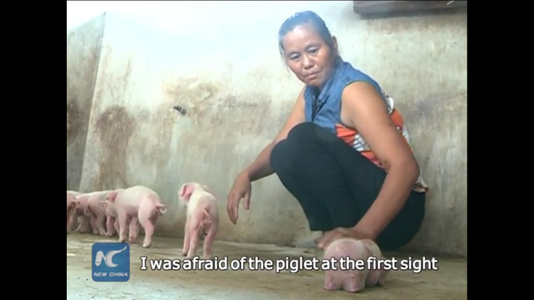 Mutant piglet with two snouts and three eyes
