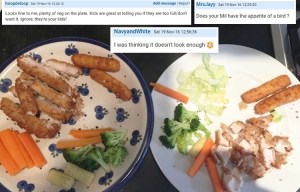 Mumsnet user shares picture of her kids' meals after being criticised by her mother-in-law... so is this too much or too little?