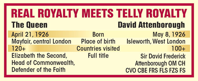 graphic-daveyboy