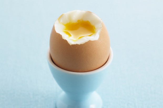 Eating one egg a day could protect against suffering a stroke, experts say