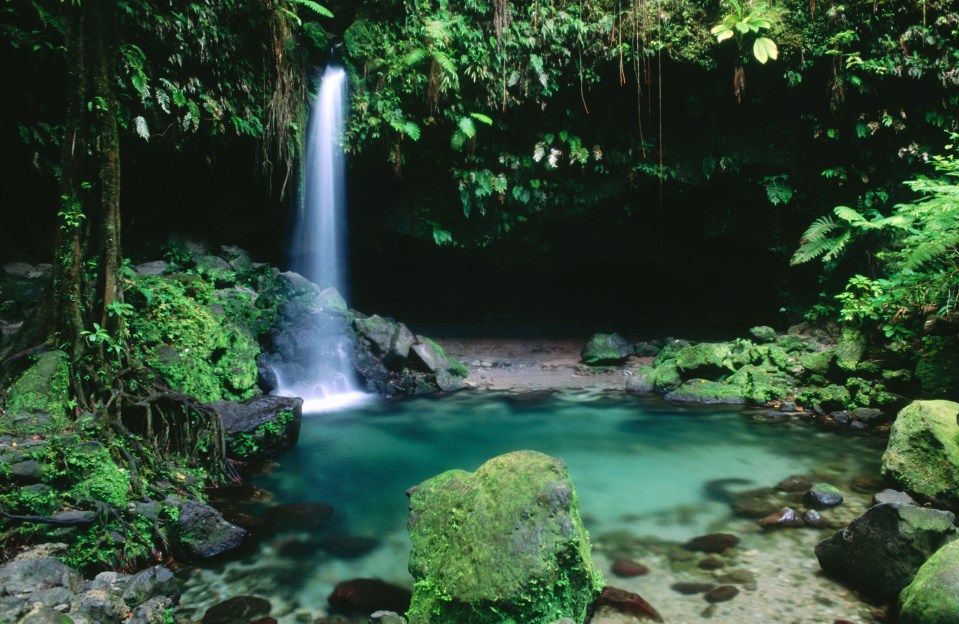 Emerald Pool in Morne Trois Pitons National Park, where the tourist reportedly had just visited