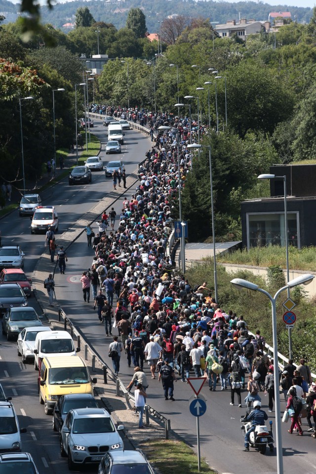Hundreds of migrants walk after leaving the transit zone of the Budapest main train station, on September 4, 2015 intending on walking to the Austrian border and onwards to Germany
