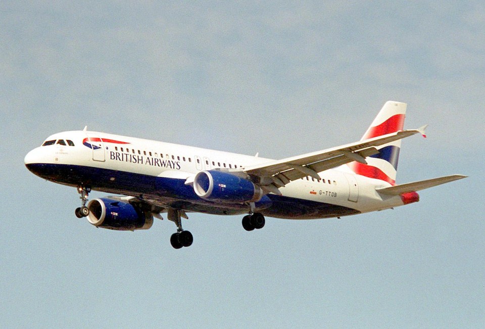 BA confirmed it was aware of the incident and said it was supporting the staff involved