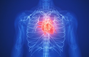 So-called "good" cholesterol can make heart disease worse, triggering inflammation in blood vessels that causes clots