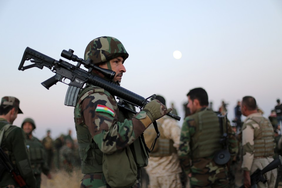 Iraqi forces have liberated large parts of the area around Mosul