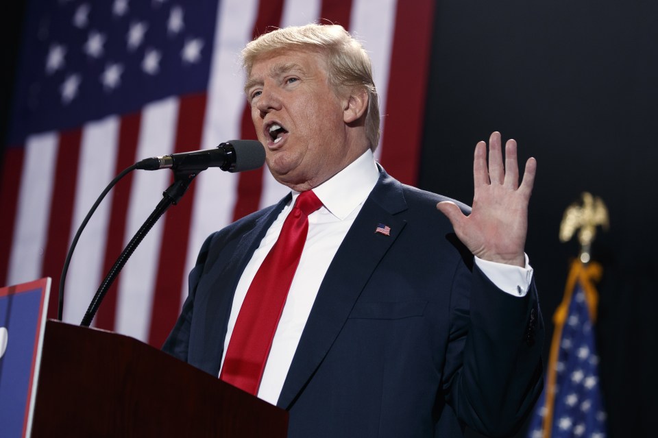 Donald Trump speaks during a US presidential election campaign rally 