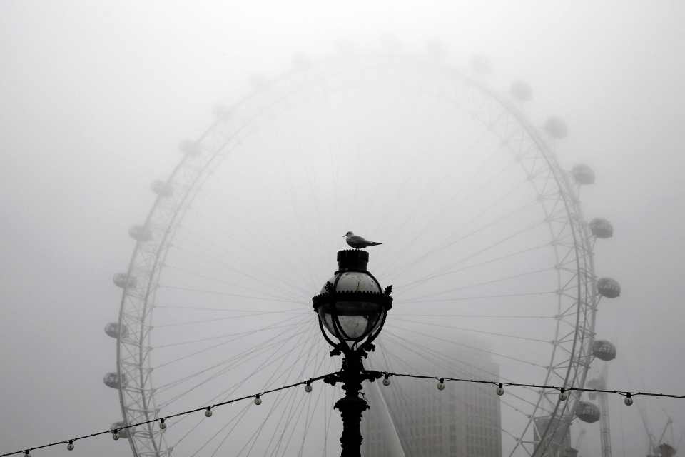 A seagull sits on top of a lamp post, in front of the London Eye, during a foggy morning in central London,