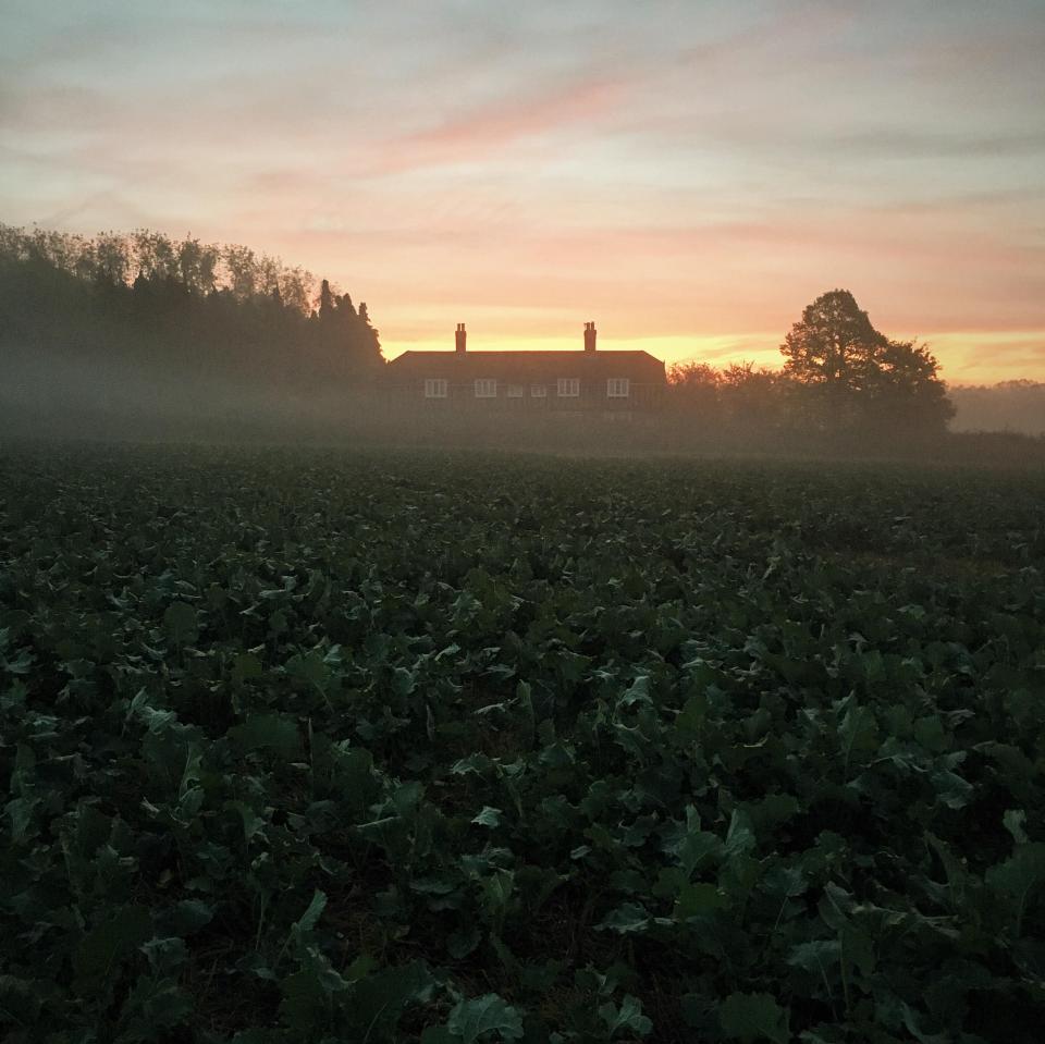 Misty sunrise over farmland in Sevenocaks