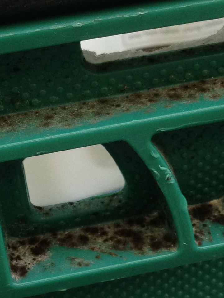 Mould found in the crates which are used by Asda to transport food and other items to customers