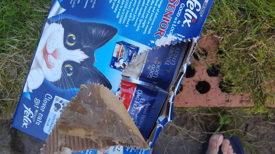 Maggots in cat food box which was delivered to one Asda customer