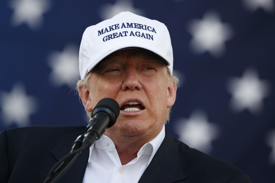 Donald Trump was criticised by Barack Obama, with the president saying the billionaire was 'temperamentally unfit' to have the top job