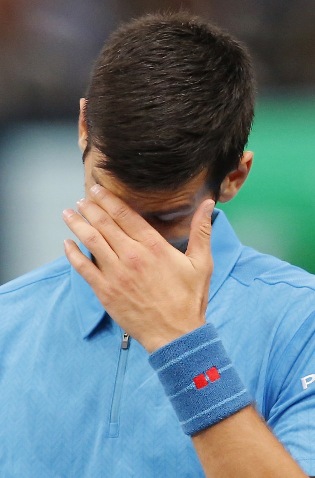Novak Djokovic has finally been dethroned as the world No 1 by Andy Murray