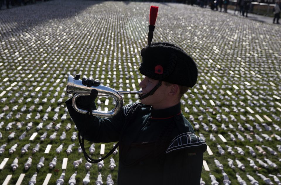 Preview Of the Shrouds Of The Somme Installation