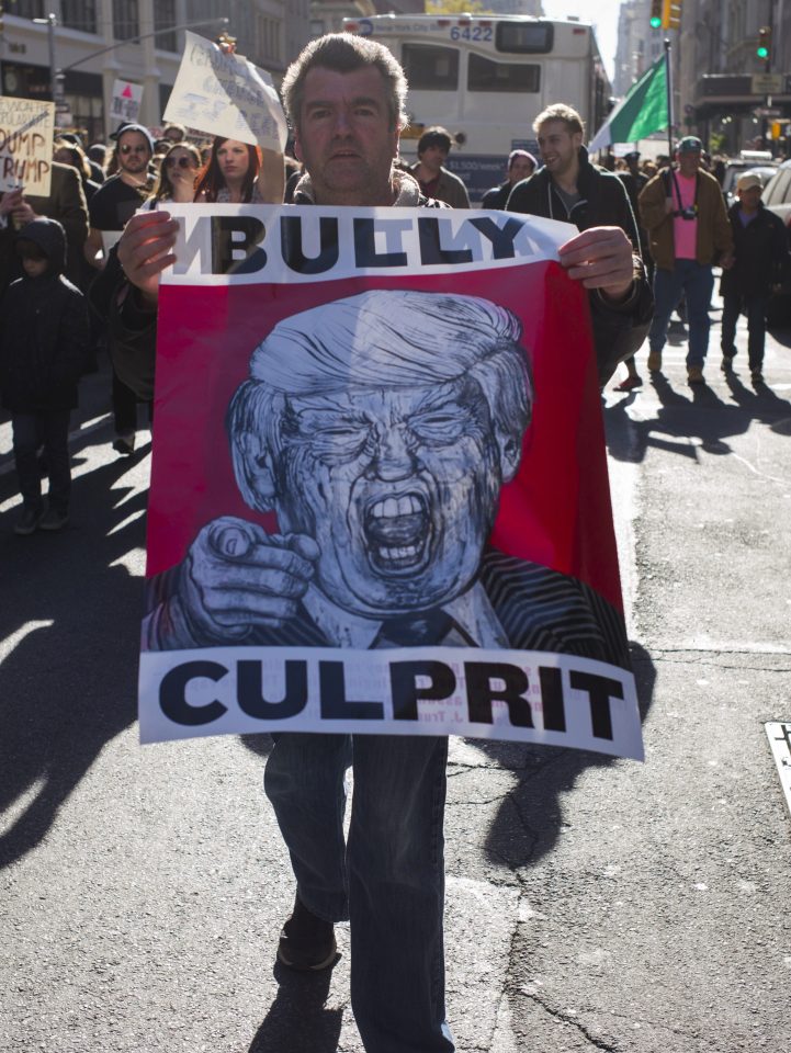 Many Americas don't like the direction Trump is planning on taking the US