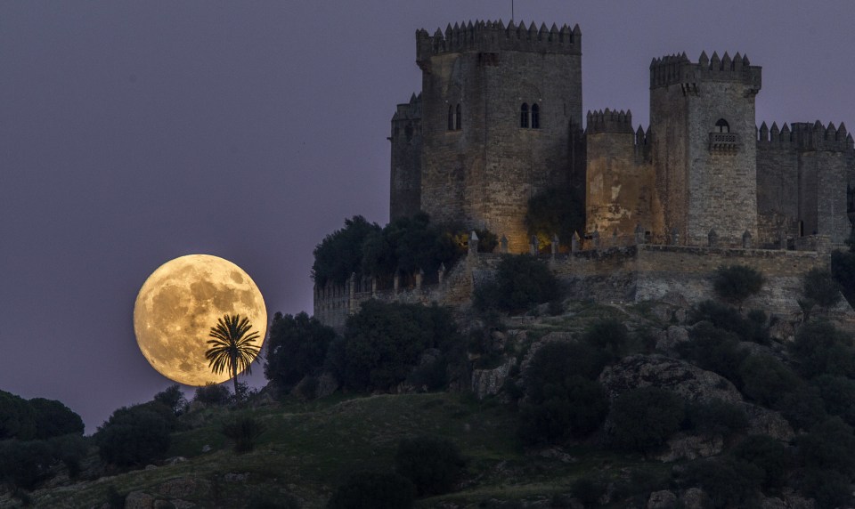 As dusk falls in southern Spain, the moon rises behind the castle of Almodovar in Cordoba