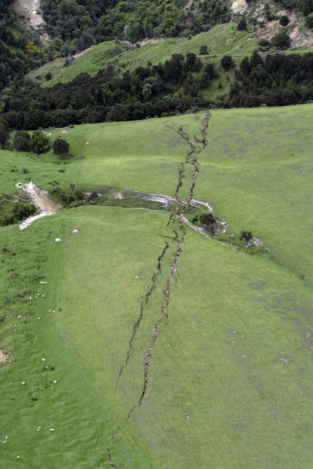 Cracks in farmland around Conway near Kaikoura, New Zealand