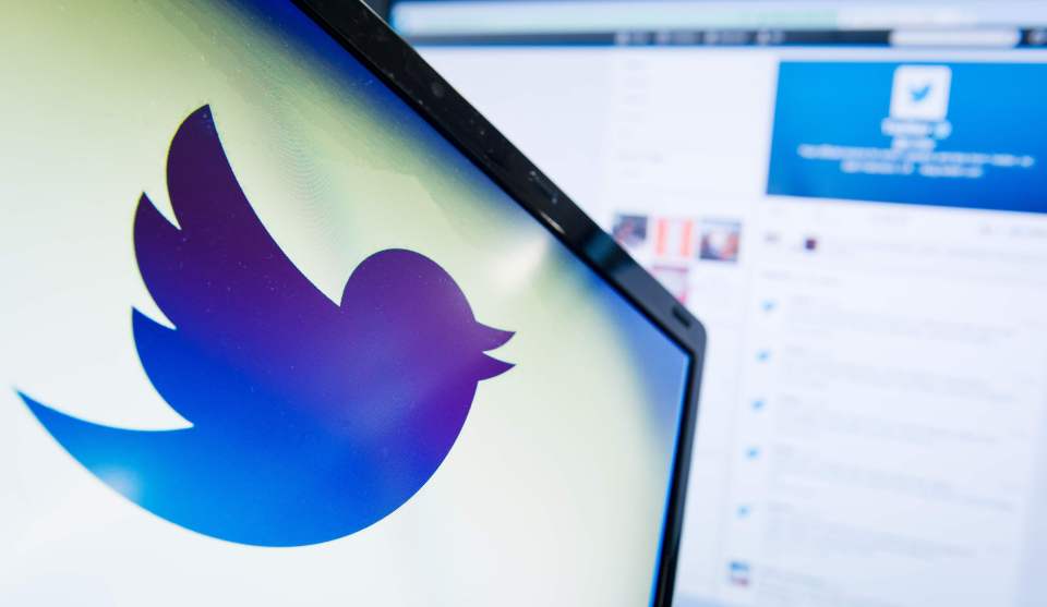 Stay of execution ... Twitter has been spared from proposals to crack down on children viewing porn online