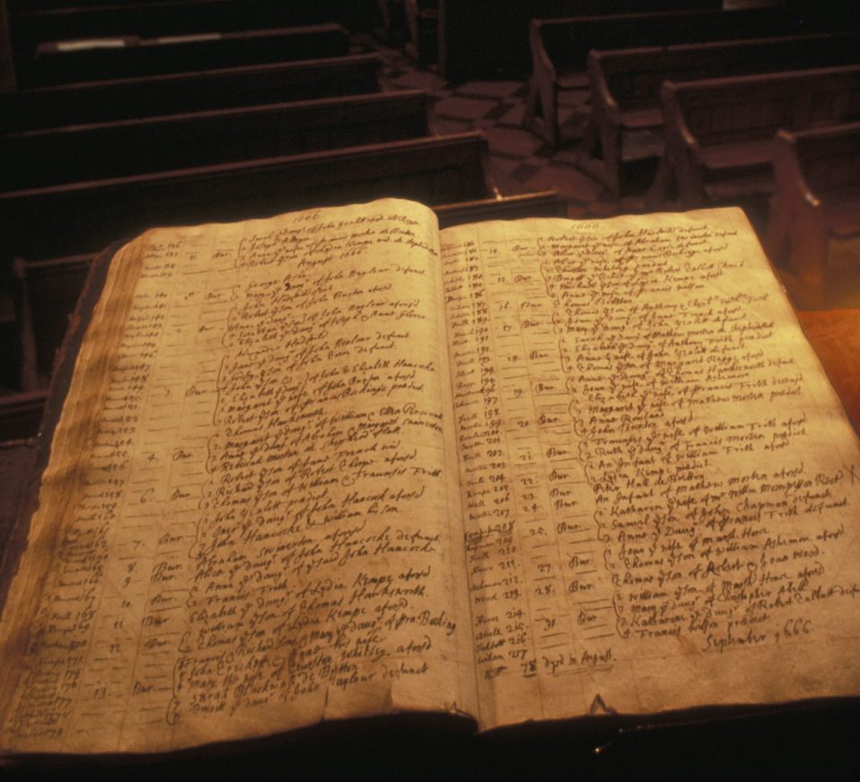Genealogy websites will filter through public records to help connect you with your ancestors