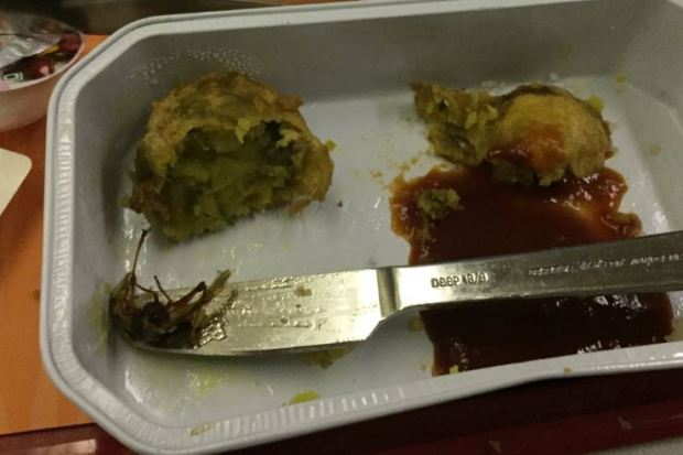 Rahul Raghuvanshi tweeted this picture of a cockroach in his meal