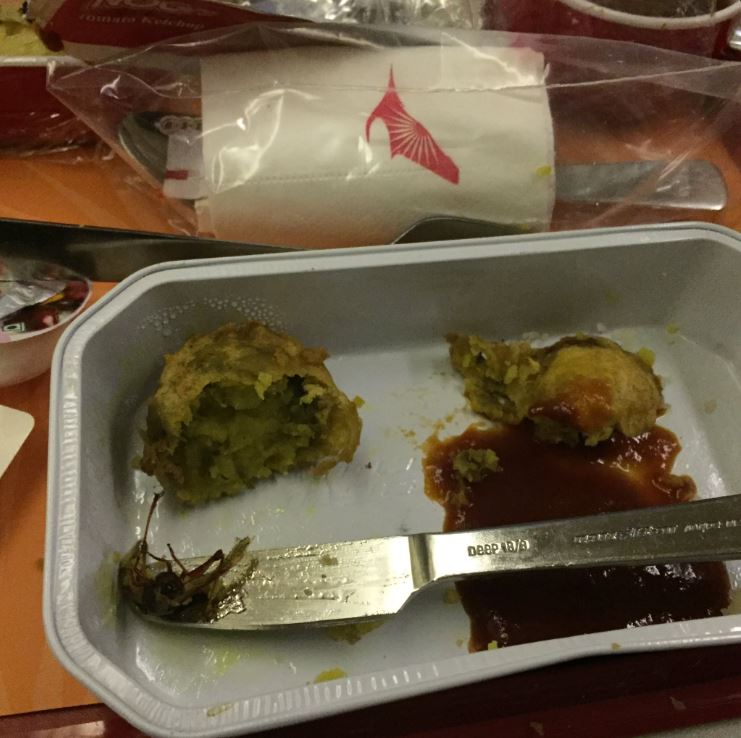 Rahul Raghuvanshi tweeted this picture of a cockroach in his meal
