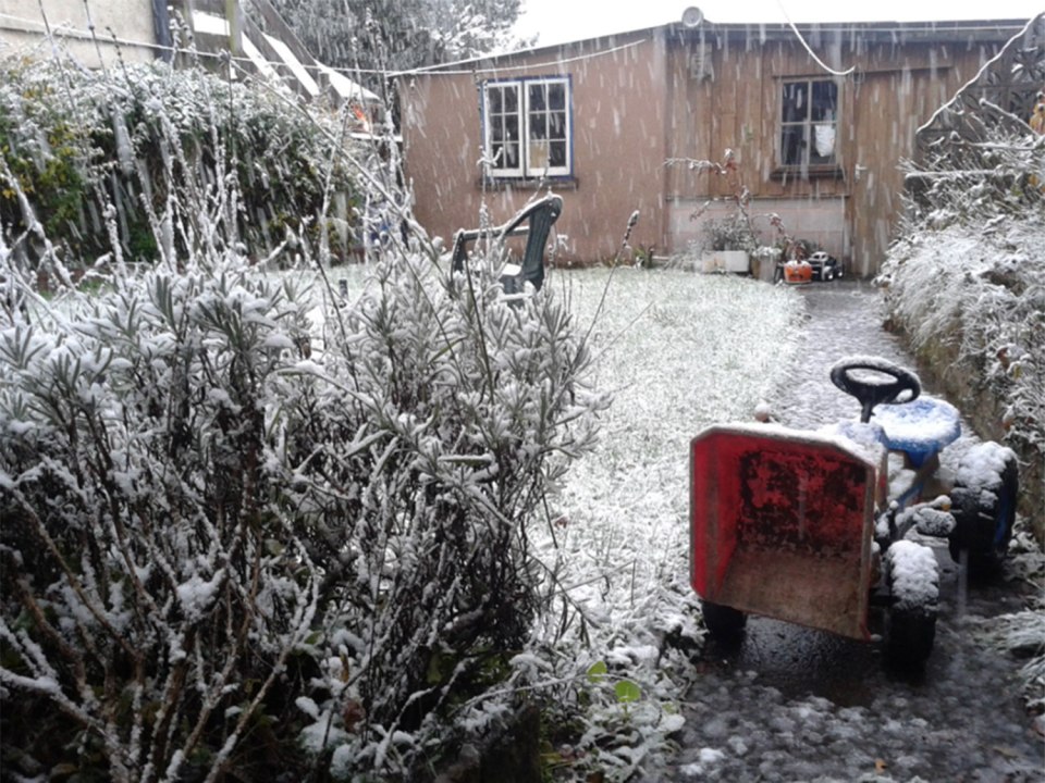 Emily Gilbert shared a snap of her snow covered garden in Witheridge, North Devon