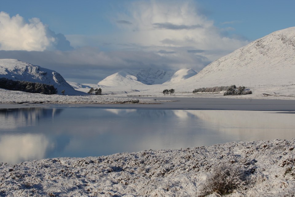 Loch Droma in Scotland looked like a winter wonderland this morning as frosty snow carpeted the Scottish countryside 