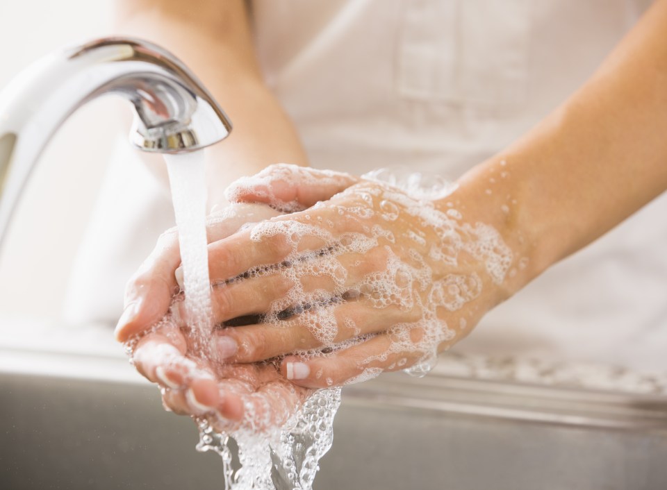 Outbreaks spread when people eat or drink contaminated food, touch infected surfaces or come into contact with someone who is shedding the virus, so it's vital to wash your hands well