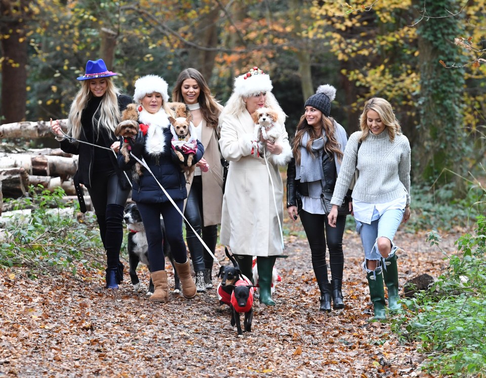 The ladies have been out walking their (festively clad) pooches for the Essexmas special