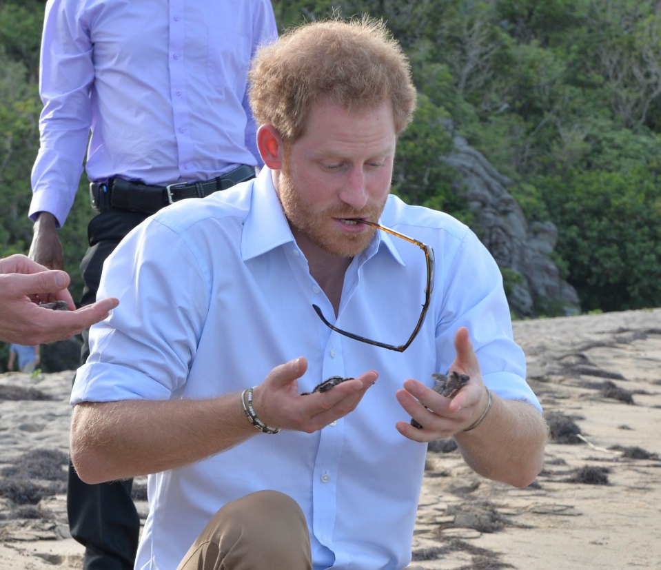 He is the on the latest Royal tour visiting Caribbean countries on a trip billed as formal but fun