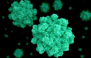 UK left facing massive vomiting bug outbreak over Christmas as number of cases soars by 40 per cent