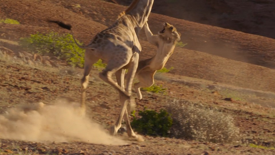 One of the incredible scenes from Planet Earth II