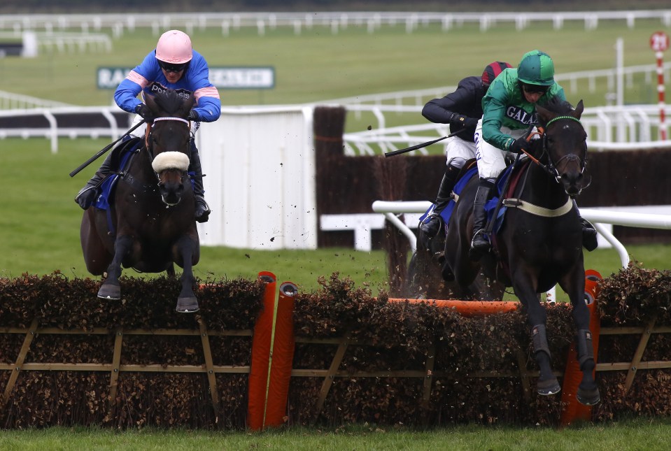 Sceau Royal (right) has been impressive on both starts this season