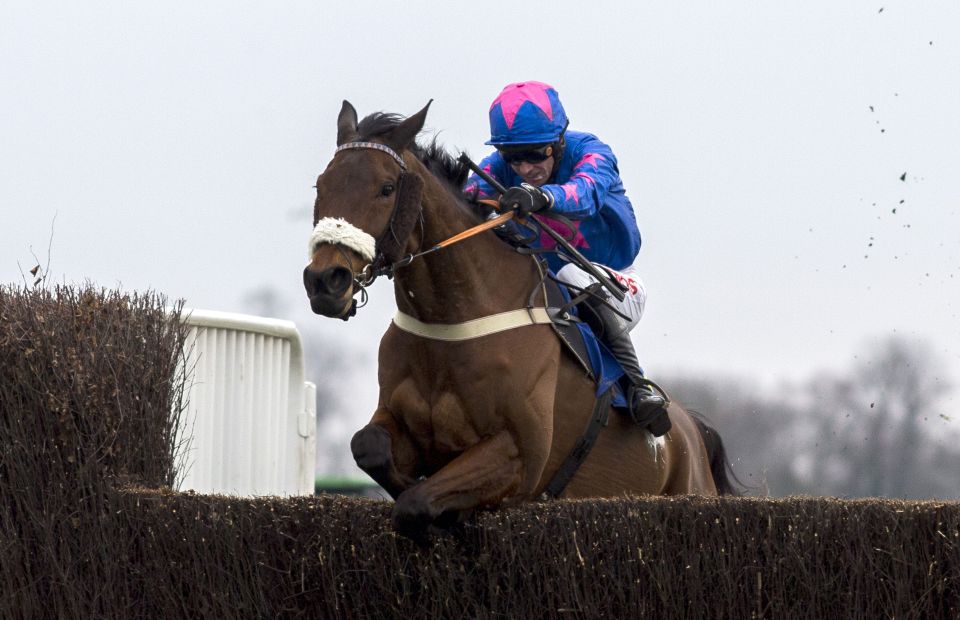 Theatre Guide has been placed in the race twice before