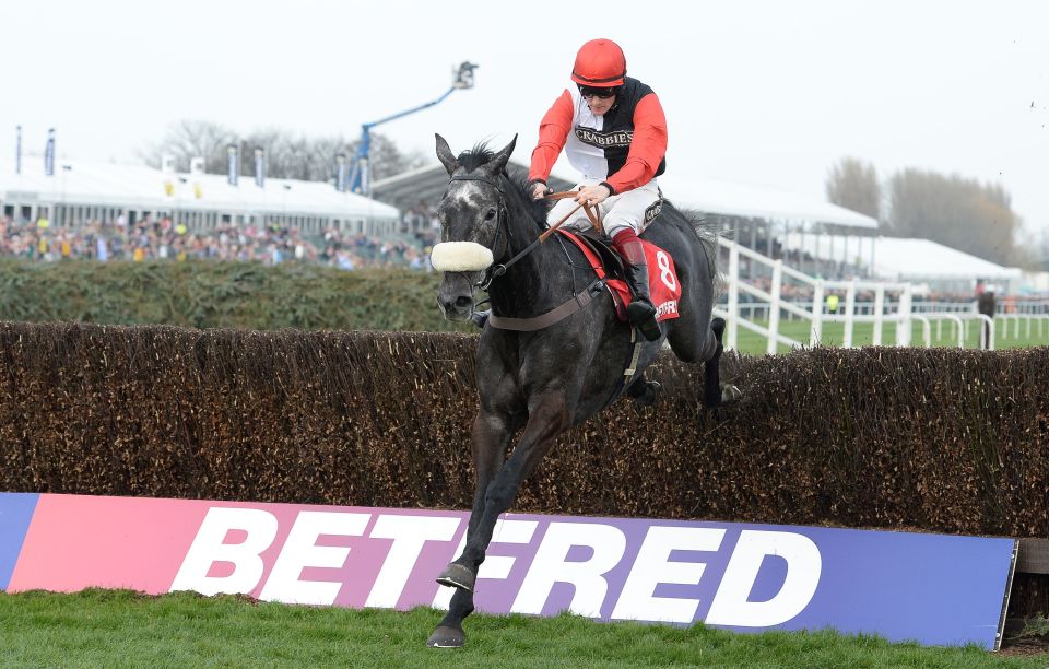 Saphir Du Rheu has a patchy record over fences