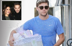 Niall Horan shops for baby GIRL gifts as Liam Payne prepares to become a dad