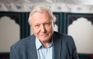 David Attenborough reveals why Planet Earth has been smashing The X Factor in ratings battle