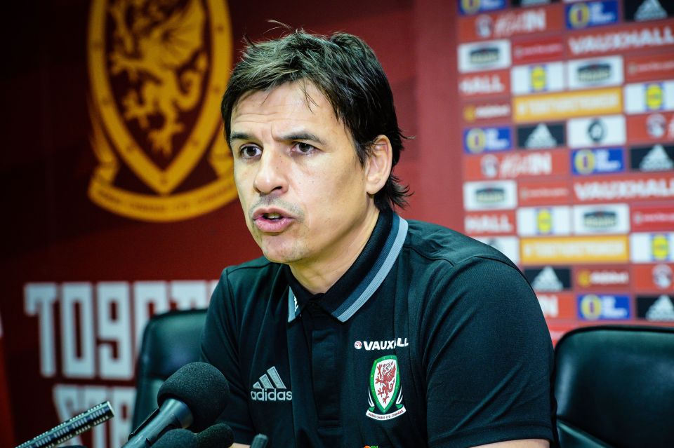 Wales boss Chris Coleman is second favourite for the job