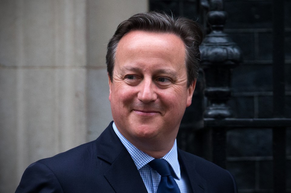 It was commissioned by David Cameron in July 2015, but delayed for months amid fears it will embarrass ministers 