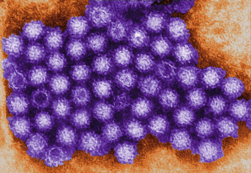 The norovirus figures come as new data from NHS England shows the health service continues to struggle as winter bites