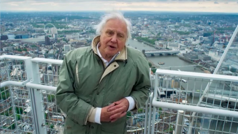 David Attenborough made the heartfelt appeal on last night's Planet Earth