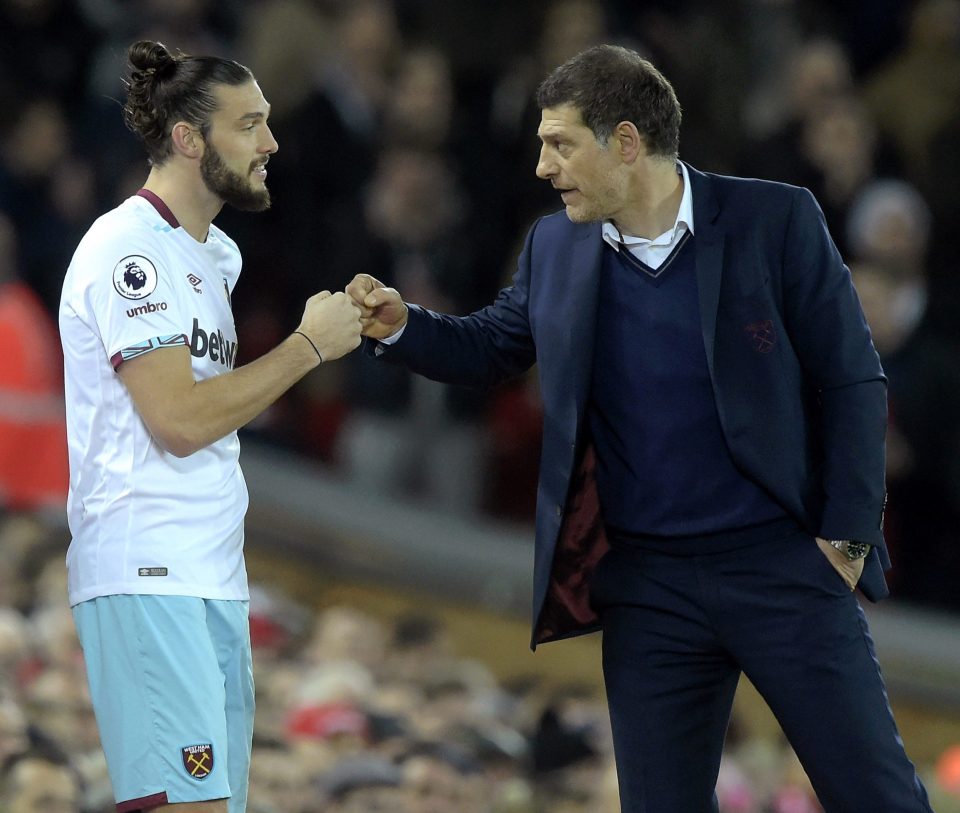 Andy Carrolls return is a timely boost for Bilic