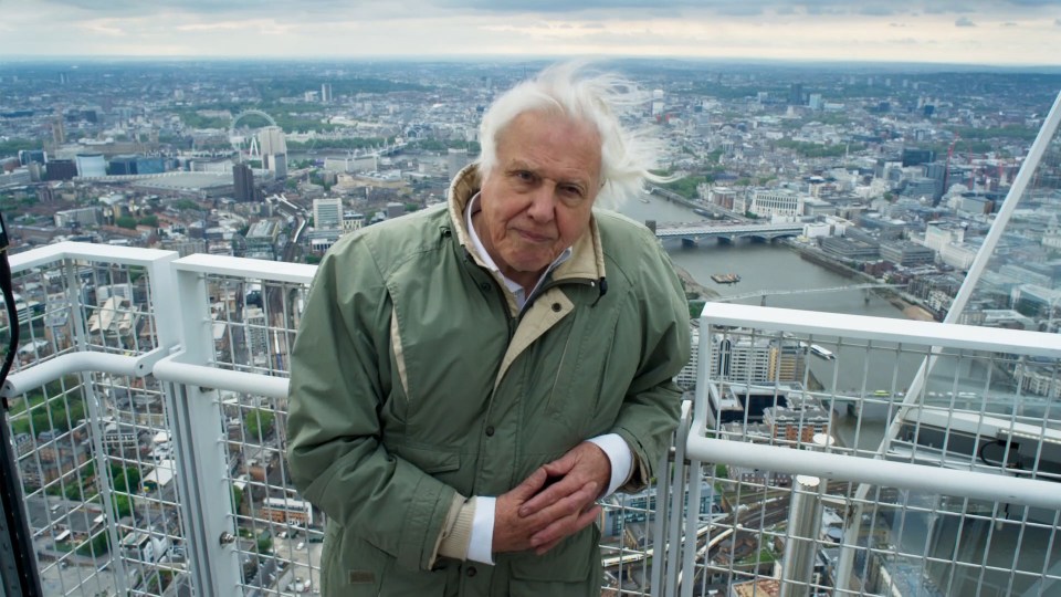  BBC bosses want Sir David Attenborough to narrate the next Planet Earth