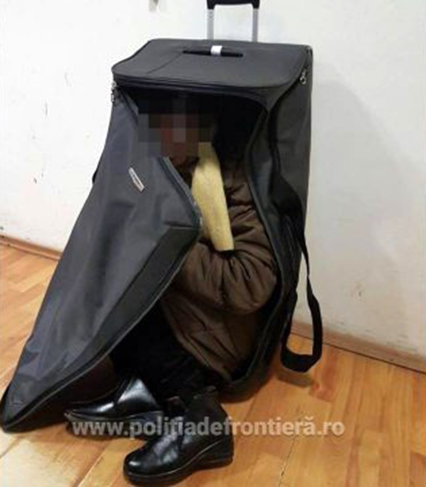 A female illegal migrant from Afghanistan falls out of a suitcase
