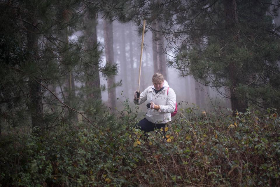 Nicola Urquhart pictured scouring through undergrowth in Suffolk as she desperately searches for her son