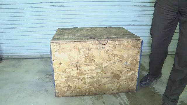 The girl was found trapped in this box 