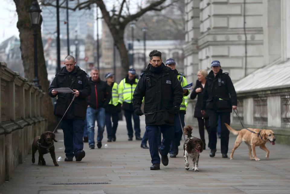  Sniffer dogs checks the roads near where crowds will be huddled tonight