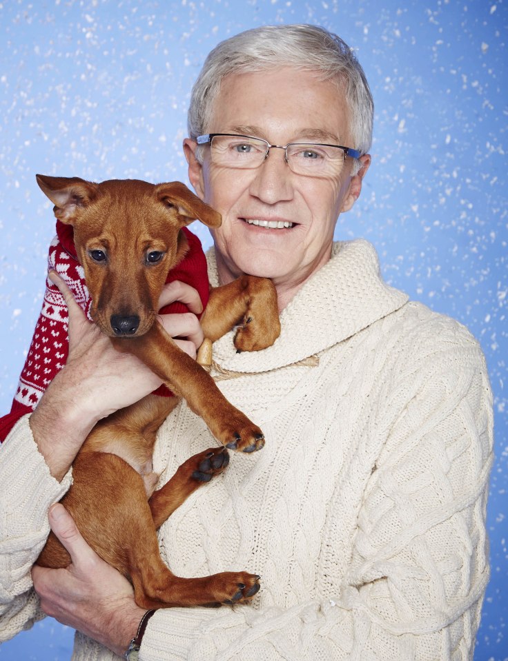 Paul O'Grady: For the Love of Dogs at Christmas: Those melting his heart tonight include pregnant pug-cross Holly and bow-legged pointer Mickey