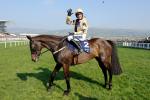 Black Hercules winning at the Cheltenham Festival