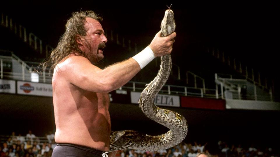 Jake Roberts